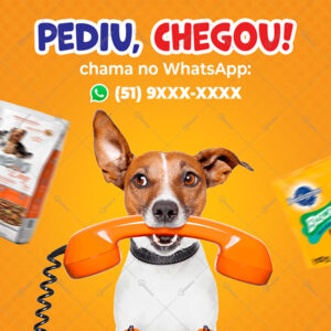 Post Feed Pet Shop Pediu Chegou Chama no Whatsapp Template PSD Editável