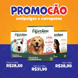 Post Feed Pet Shop Promocao Antipulgas e Carrapatos Template PSD Editável