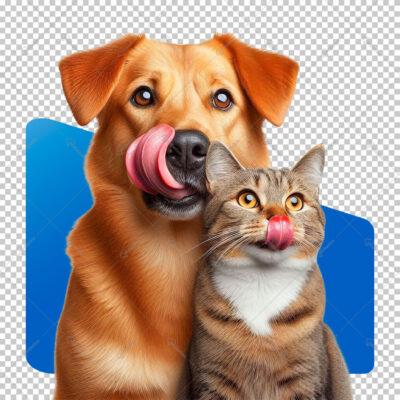 Cão e Gato PNG Sem Fundo Para Composição Fundo Transparente Cachorro Gato Pet